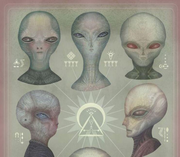 Alien Species Types: The Most Discussed Extraterrestrial Beings in UFO Lore